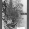Nummer Øa-9808