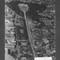 Nummer Ød-8251