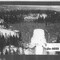 Nummer Øe-9899
