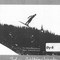 Nummer Øy-8