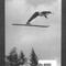 Nummer Øz-8085