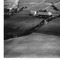 Nummer 12259