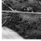Nummer 12298