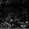 Nummer 12377