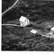 Nummer 12716