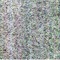 Nummer 12883