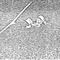 Nummer 13987