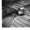Nummer 14171