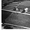 Nummer 14265