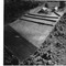 Nummer 14310
