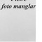 Nummer 14441