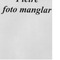 Nummer 16042