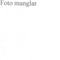 Nummer 16142