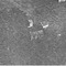 Nummer 16358