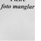 Nummer 16795