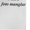 Nummer 16875