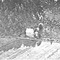 Nummer 19022