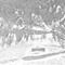 Nummer 19069