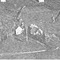 Nummer 19099