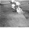 Nummer 19360