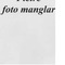 Nummer 19422