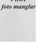 Nummer 19433
