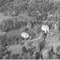 Nummer 19436