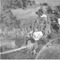 Nummer 19440