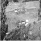 Nummer 19447