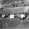 Nummer 19448