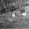 Nummer 19461