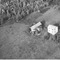 Nummer 19473