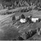 Nummer 19476