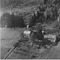 Nummer 19484