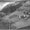Nummer 19490
