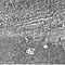 Nummer 19596