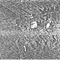 Nummer 19599
