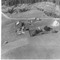 Nummer 19670