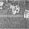 Nummer 19748