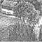 Nummer 19776