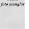 Nummer 20059