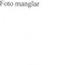 Nummer 2036