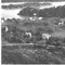 Nummer 20515