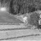 Nummer 24062