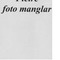 Nummer 31306