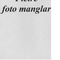 Nummer 31332