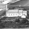 Nummer 31908