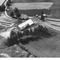 Nummer 31918