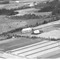 Nummer 31953
