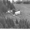 Nummer 31981